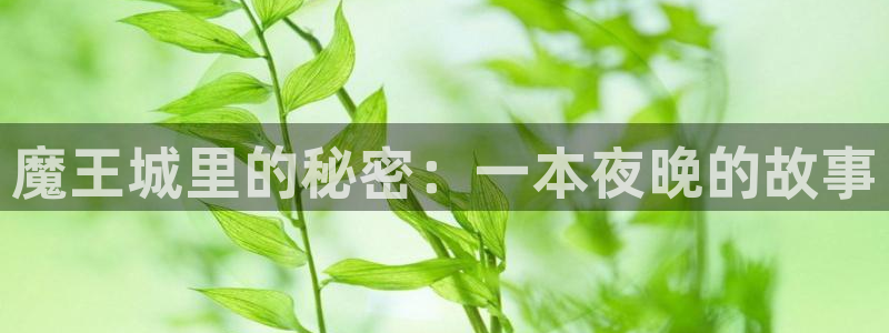 行业资讯
